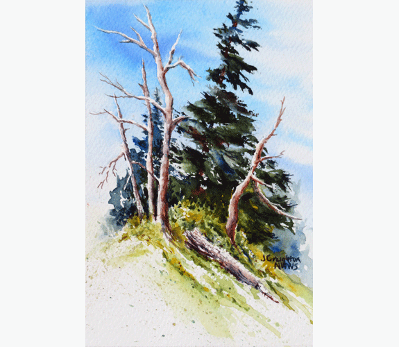 "Alpine Portrait" - Julie Creighton